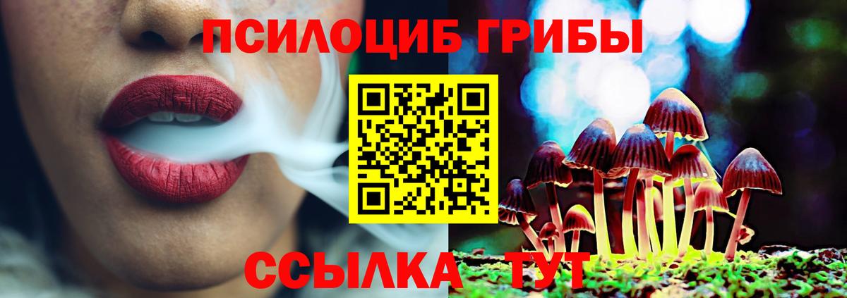 Когалым  Псилоцибиновые грибы мицелий  Вход с VPN 
